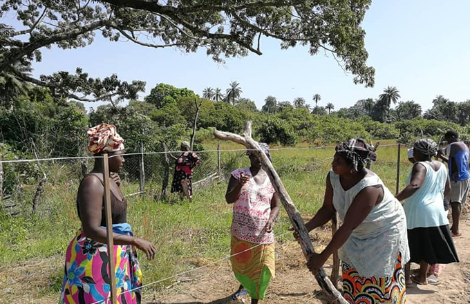 Mulheres em Sinergia na Guiné-Bissau